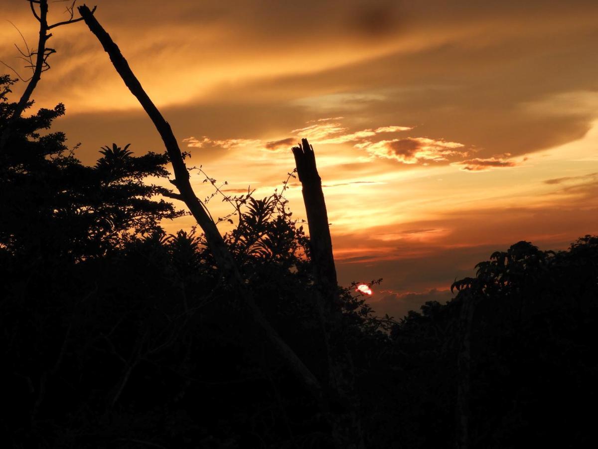 Moon Wonders Vacation House Monteverde Esterno foto